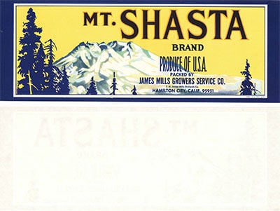 mount shasta label