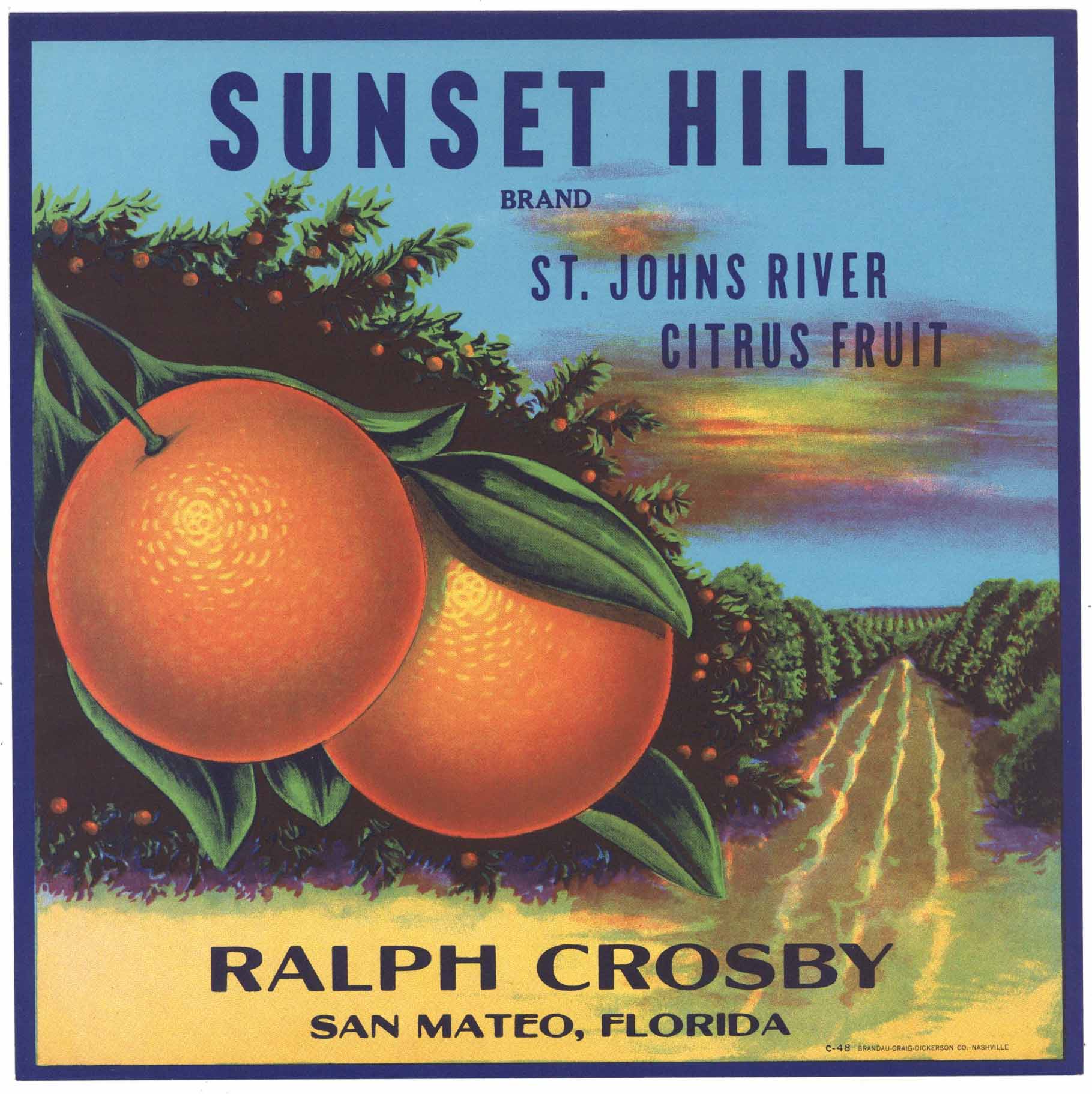 citrusさま専用特典 Cushman's HoneyBells Heritage Box | Harry & David