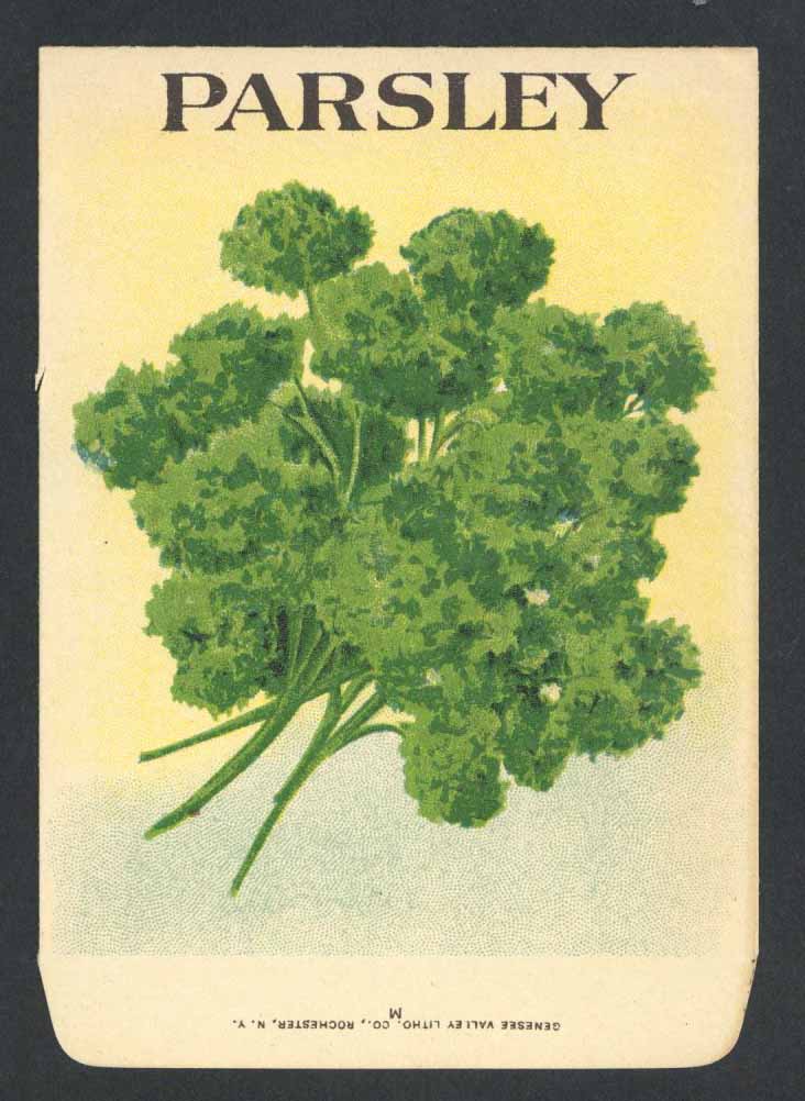 Parsley Antique Genesee Valley Litho. Seed Packet, 278
