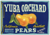 Yuba Orchard Brand Vintage San Francisco California Pear Crate Label
