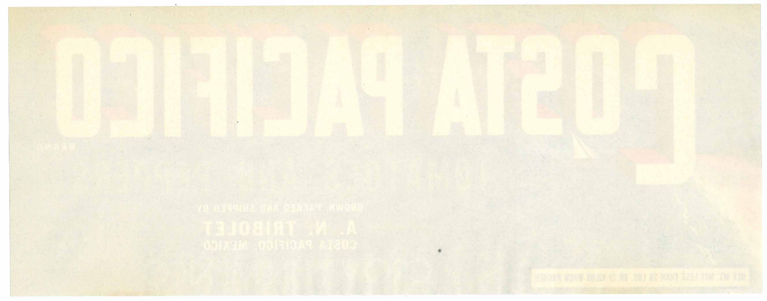 Costa Pacifico Brand Vintage Mexican Tomato Crate Label thelabelman