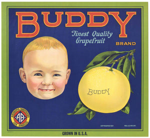 Buddy Brand Vintage Grapefruit Crate Label