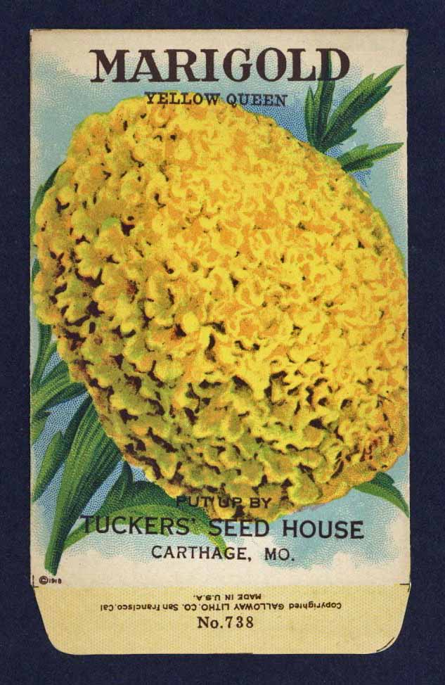 marie gold flower seeds Marigold Antique Seed Packet Tuckers Seed House – thelabelman