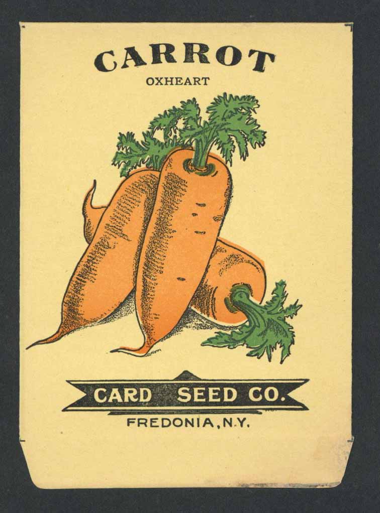 Carrot Antique Card Seed Co Packet Thelabelman carrot-antique-card-seed-co-packet-thelabelman