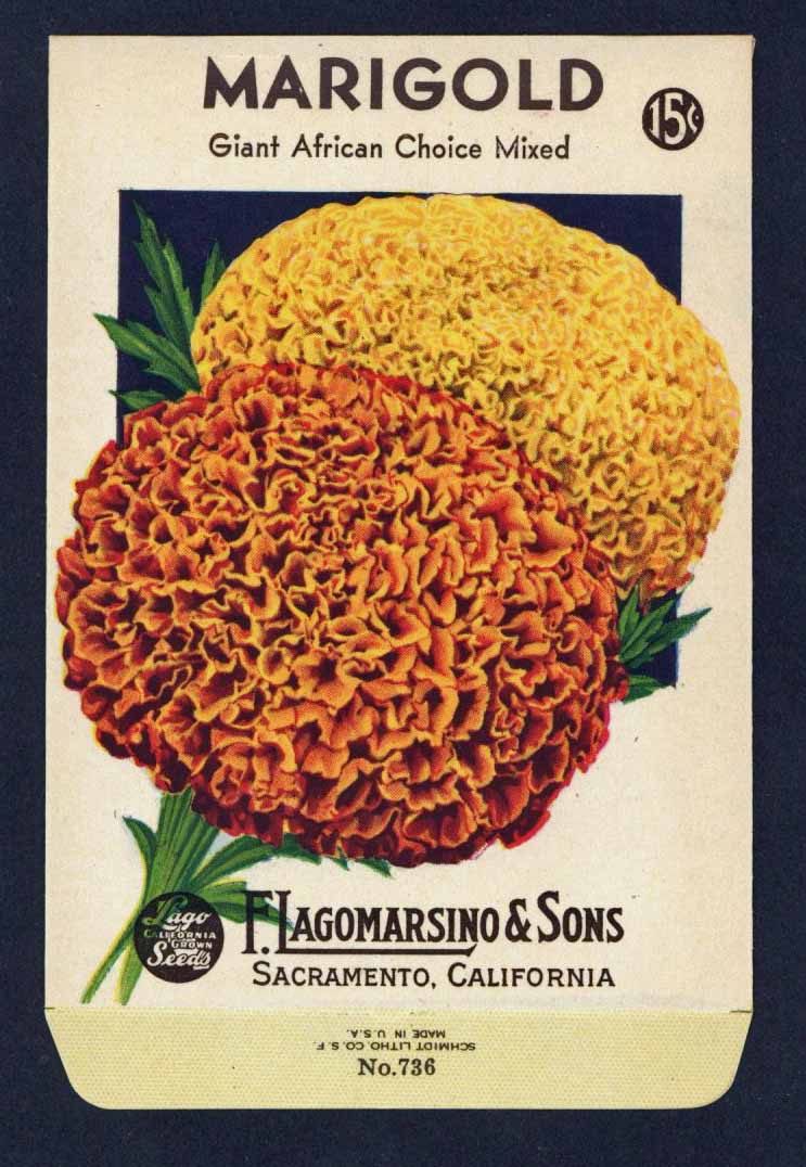 giant orange marigold seeds Marigold Vintage Lagomarsino Seed Packet – thelabelman
