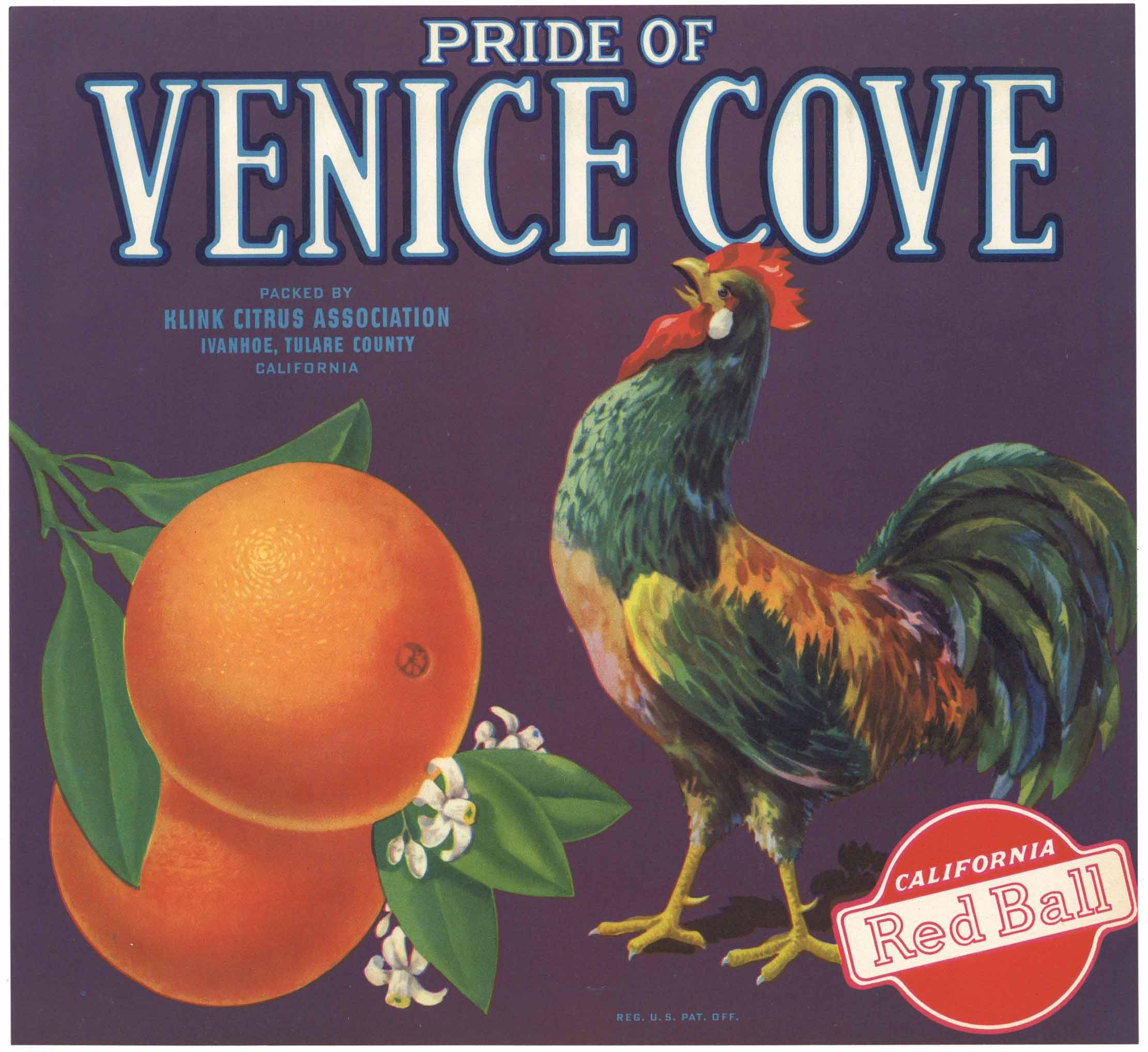 Pride of Venice Cove Brand Vintage Orange Crate Label thelabelman