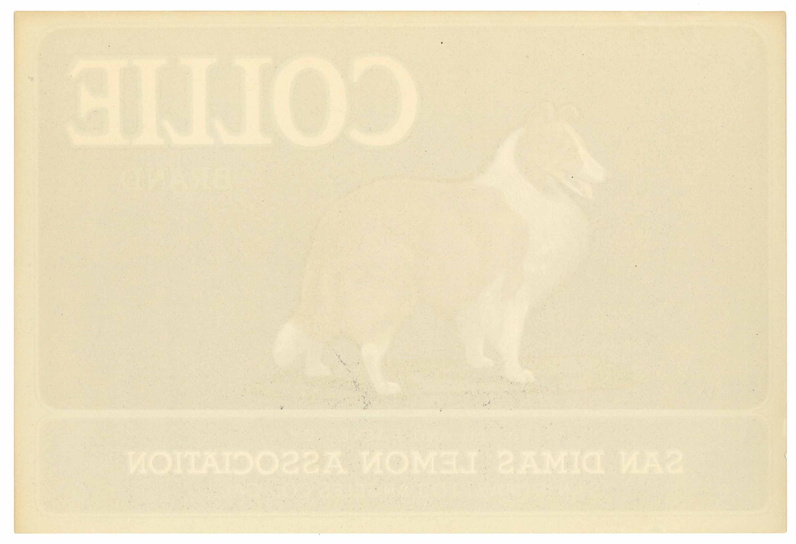Collie Brand Vintage San Dimas Lemon Crate Label – thelabelman