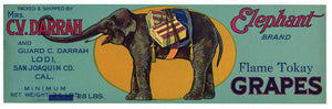 Elephant Brand Vintage Lodi Grape Crate Label