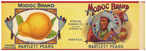 Modoc Brand Vintage Pear Can Label