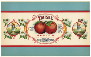 Daisee Brand Vintage Paterson, New Jersey Apple Can Label, tall