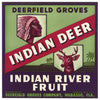 Indian Deer Brand Vintage Wabasso Florida Citrus Crate Label, o