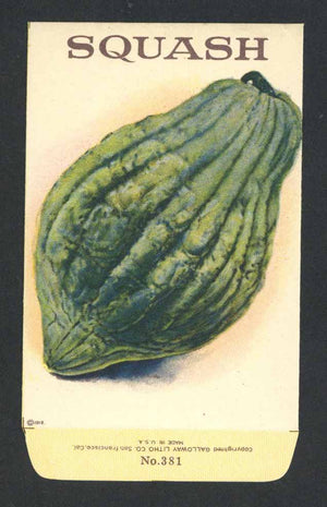 Squash Antique Stock Seed Packet