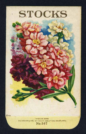 Stocks Antique Stock Seed Packet