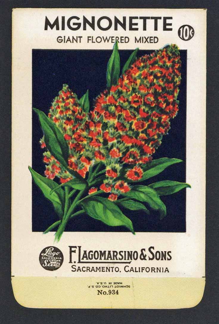 mignonette flower seeds Mignonette Vintage Lagomarsino Seed Packet – thelabelman
