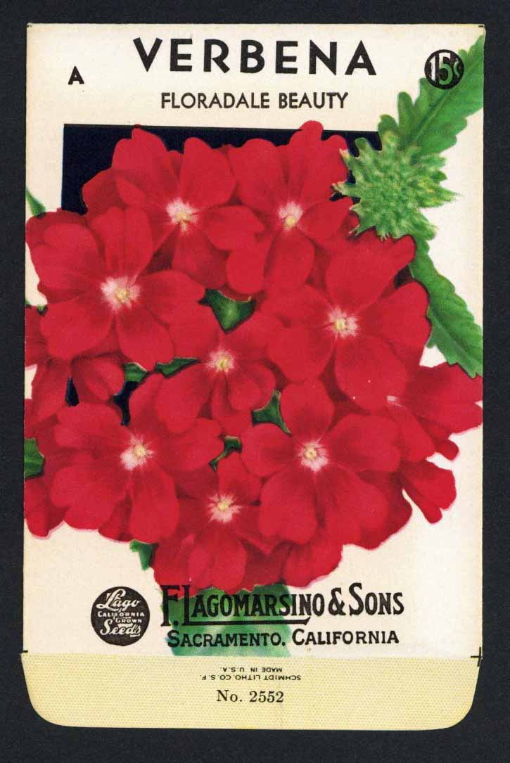 verbena flower seeds Verbena Vintage Lagomarsino Seed Packet – thelabelman