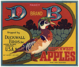 D B Brand Vintage Apple Hood River Oregon Crate Label r