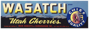 Wasatch Brand Vintage Salt Lake City Utah Cherry Crate Label