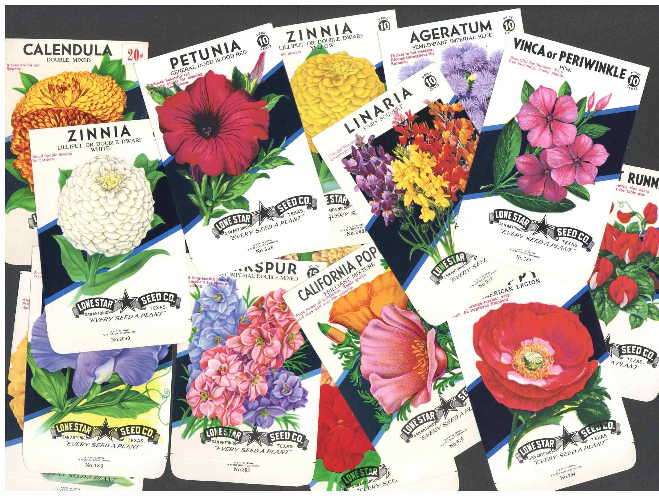 Large Seed Packets For Flowers & Flower Mixes