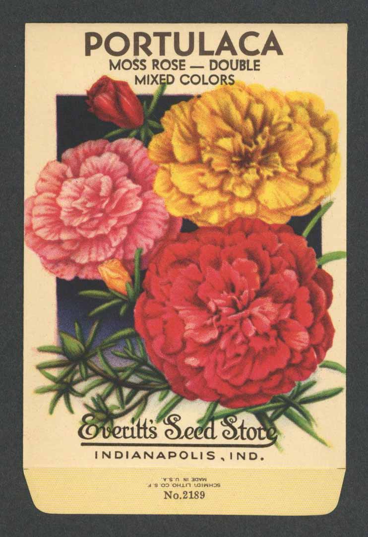 Portulaca Vintage Everitt's Seed Packet, Moss Rose – thelabelman