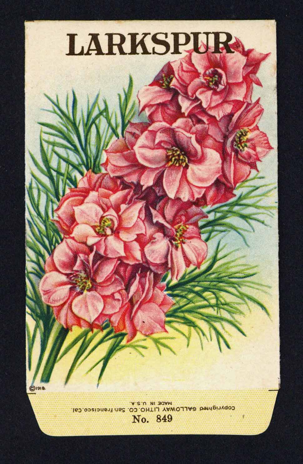 antique flower seed packets Larkspur Antique Stock Seed Packet