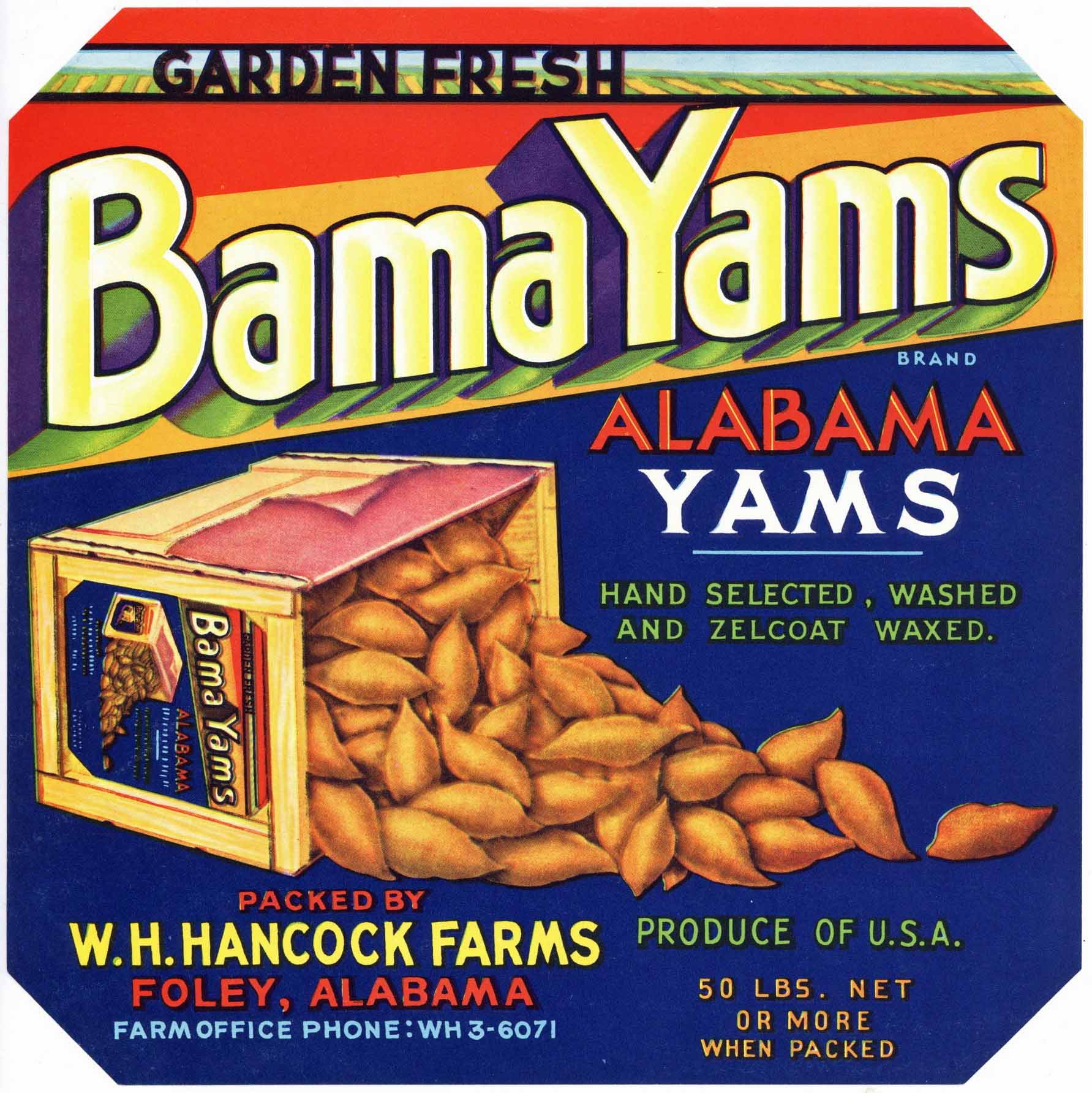 Bama Yams Brand Vintage Foley Alabama Yam Crate Label
