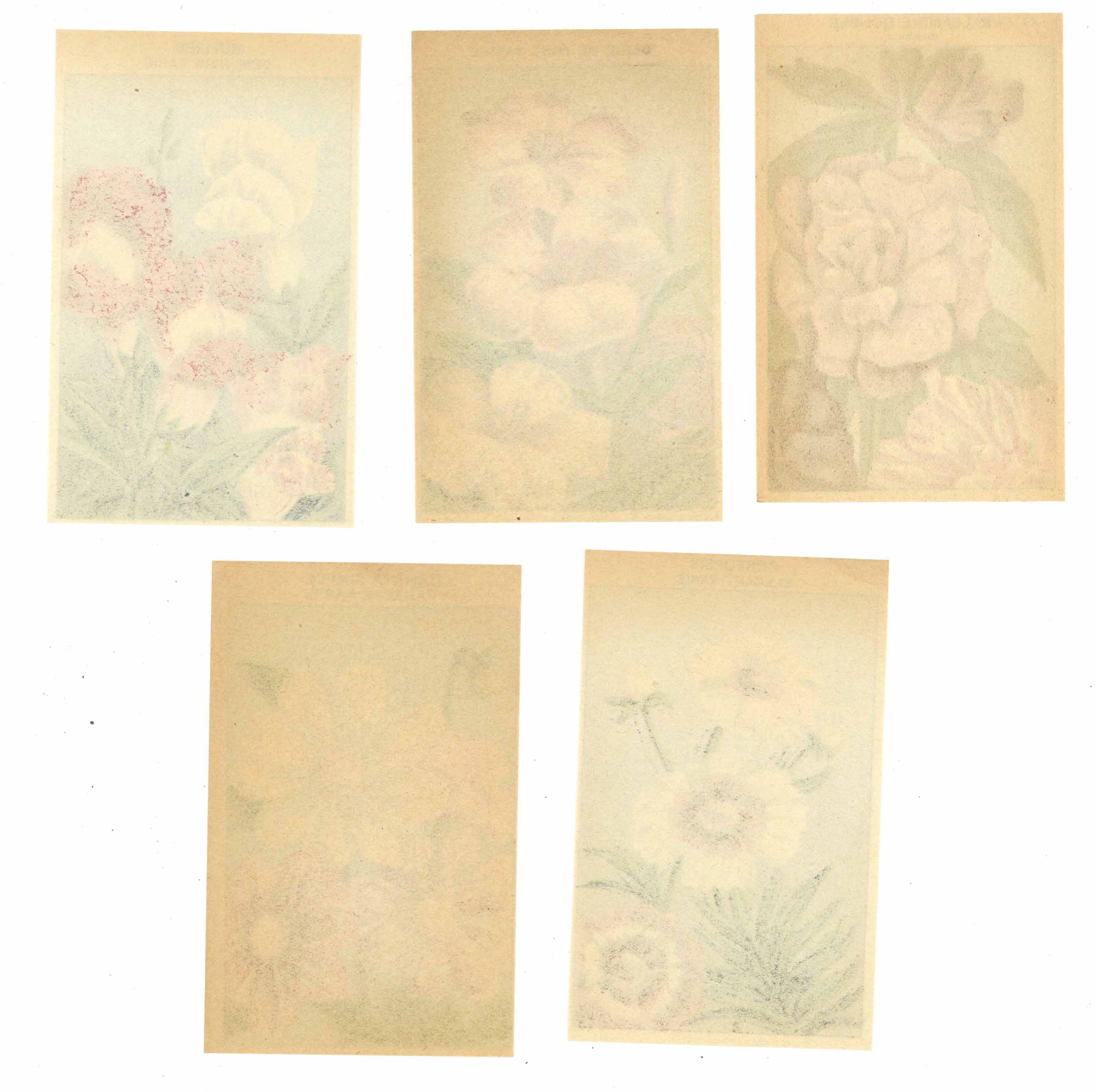 French Flower Antique Seed Packet Label Collection #1 – thelabelman