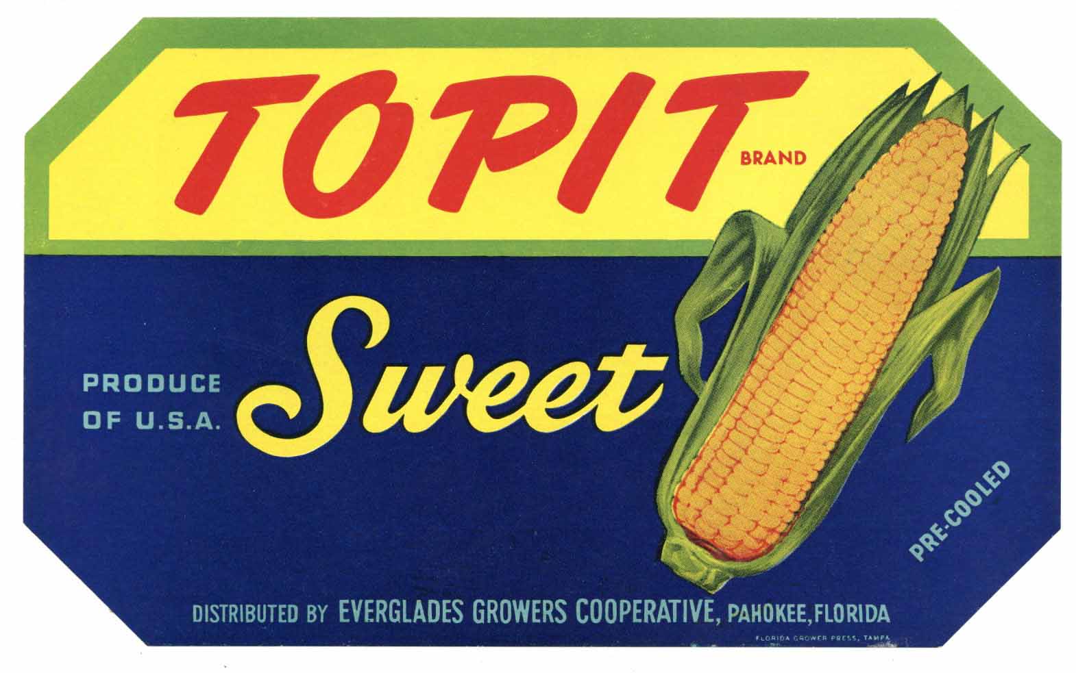 Topit Brand Vintage Pahokee Florida Vegetable Crate Label