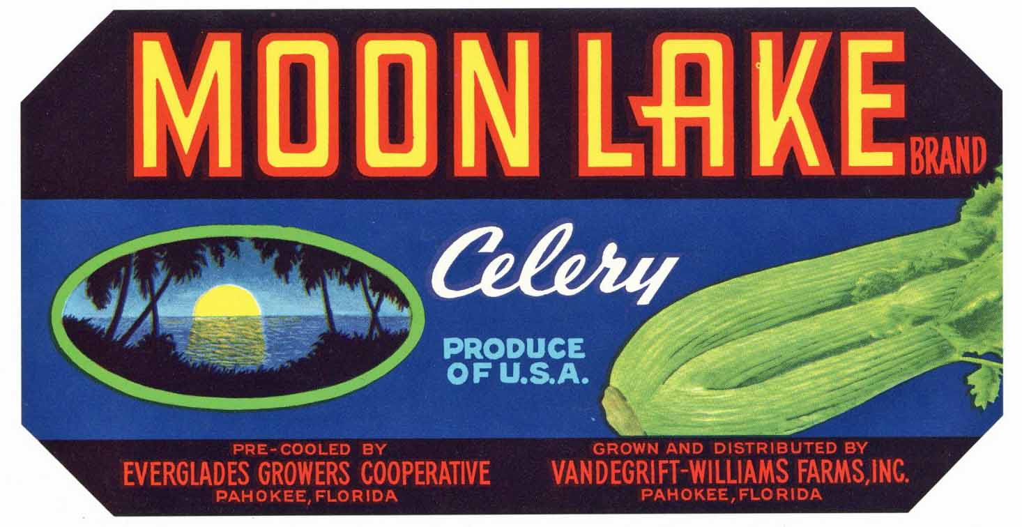 Moon Lake Brand Vintage Pahokee Florida Celery Crate Label