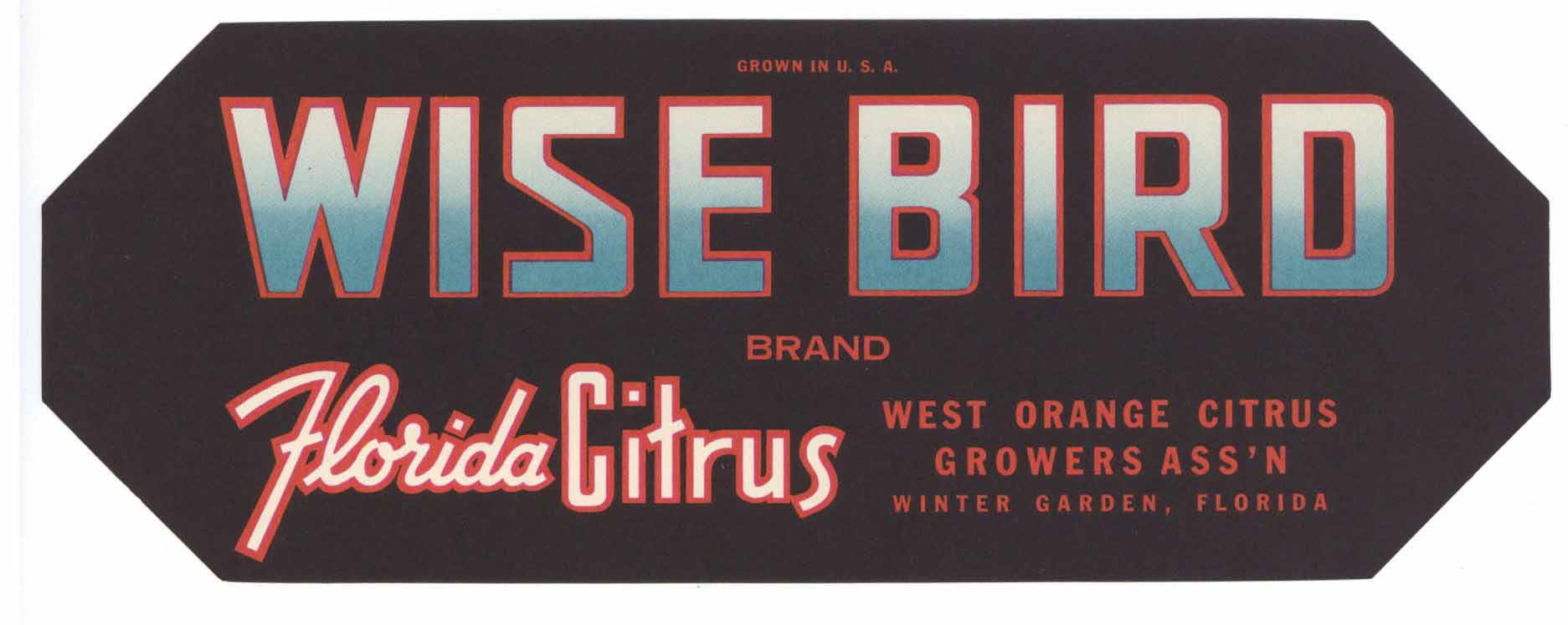 Wise Bird Brand Vintage Winter Garden Florida Citrus Crate Label, s