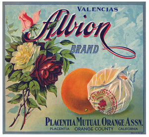 Albion Brand Vintage Placentia, California Orange Crate Label