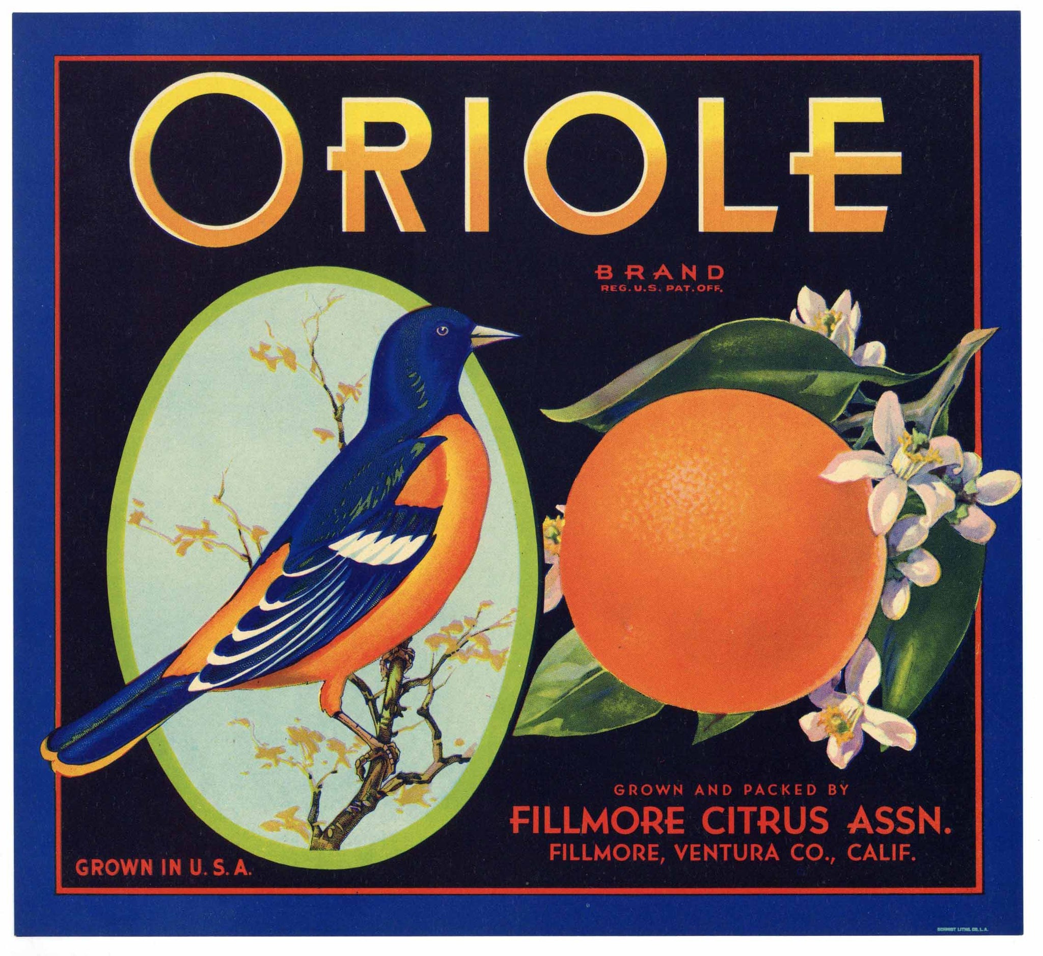 Oriole Brand Vintage Ventura County Orange Crate Label