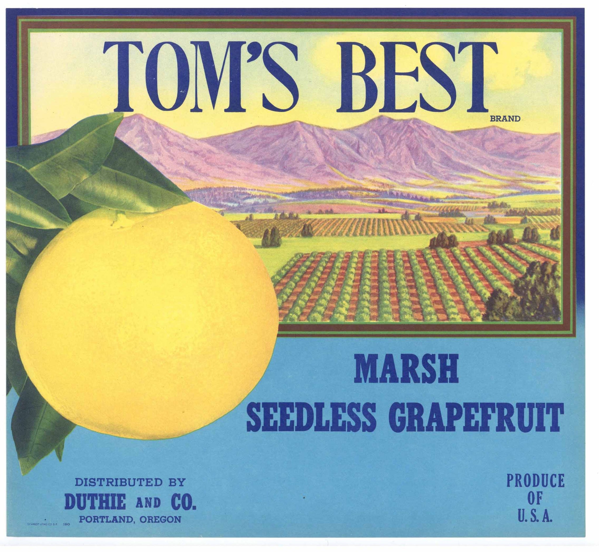 Tom's Best Brand Vintage Grapefruit Crate Label