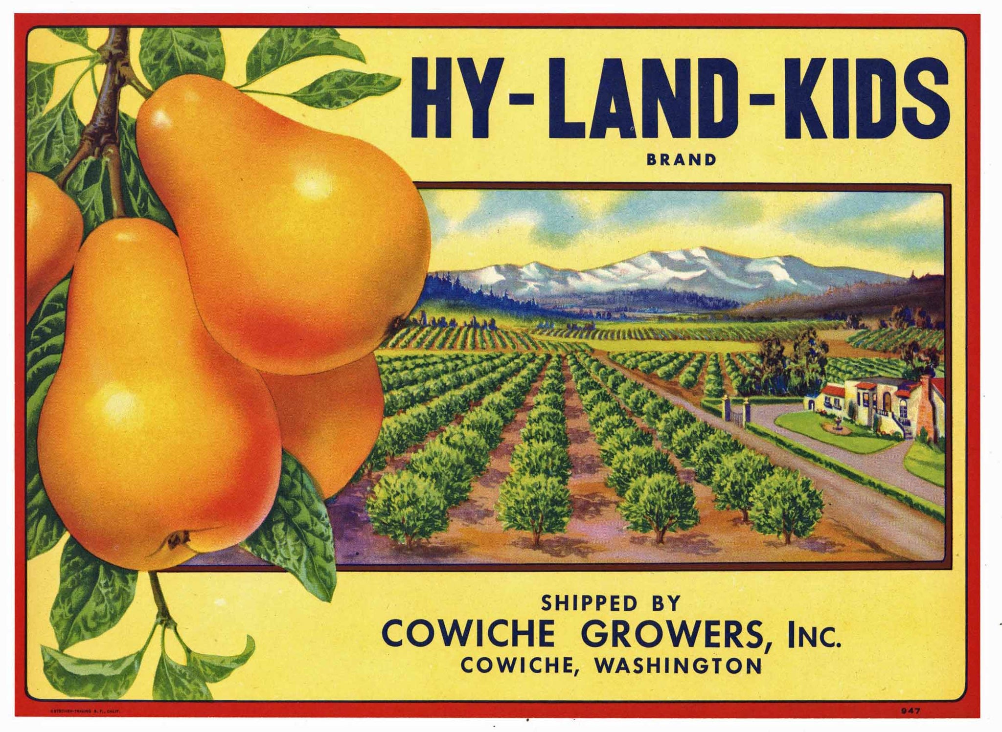 Hy-Land-Kids Brand Vintage Cowiche Washington Pear Crate Label