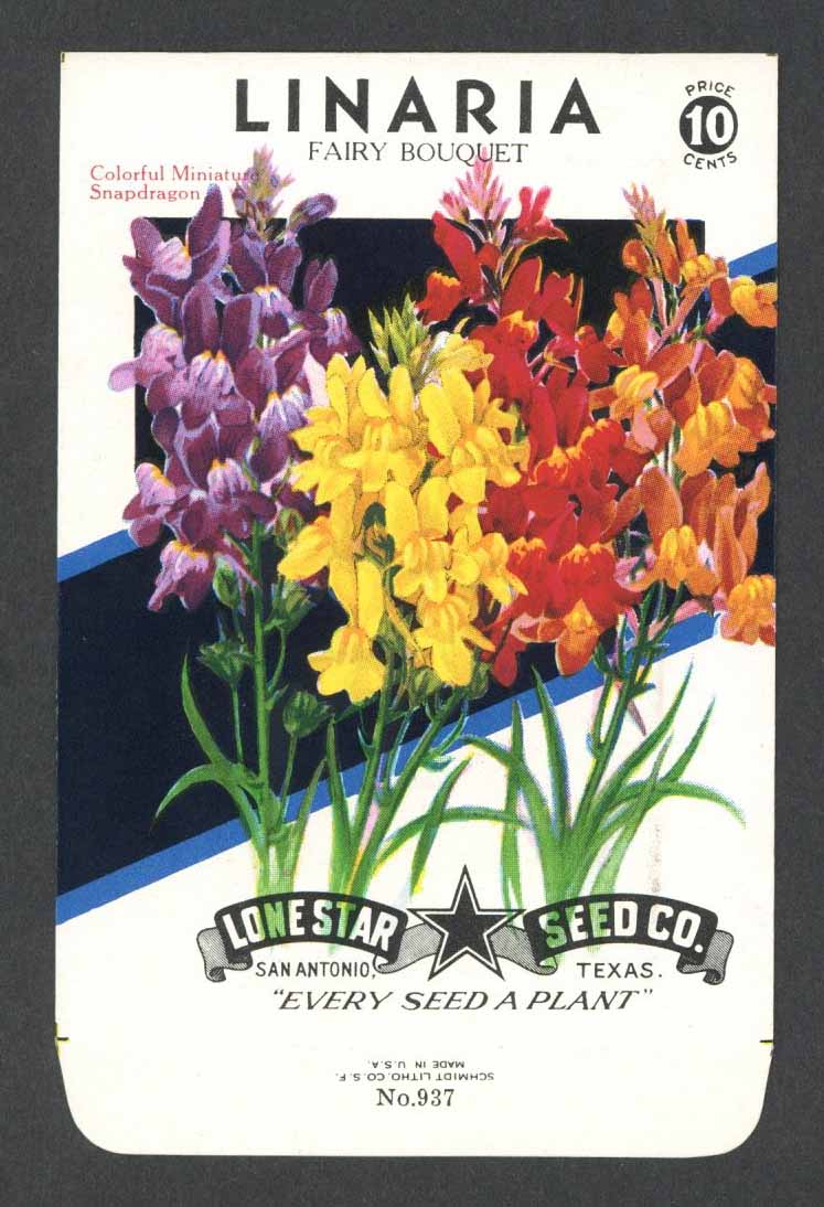 10 cent flower seed packets Linaria Vintage Lone Star Seed Packet – thelabelman