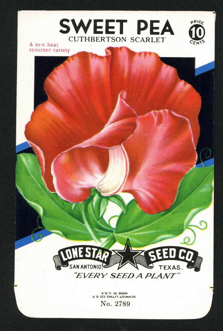 sweet pea flower seed packets Sweet Pea Vintage Lone Star Seed Packet, Cuthbertson Scarlet