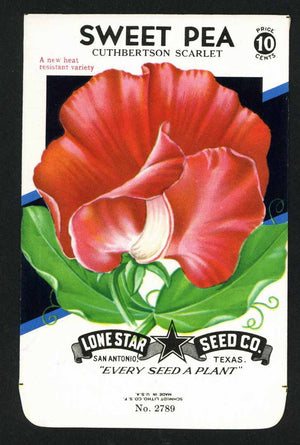 Sweet Pea Vintage Lone Star Seed Packet, Cuthbertson Scarlet
