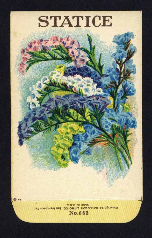 Statice Antique Stock Seed Packet – thelabelman
