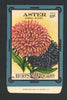Aster Antique Burt's Seed Packet, Comet Mixed