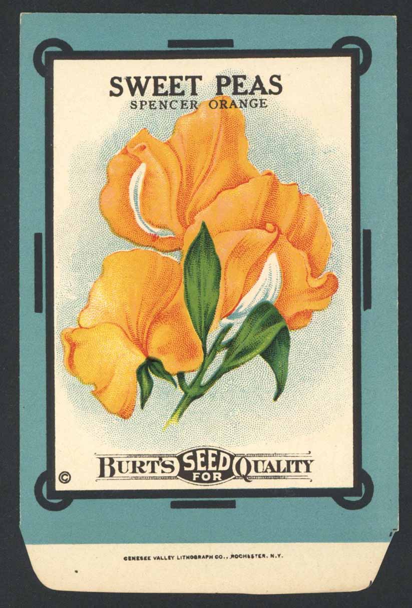 sweet pea flower seed packets Sweet Peas Antique Burt's Seed Packet, L, Spencer O