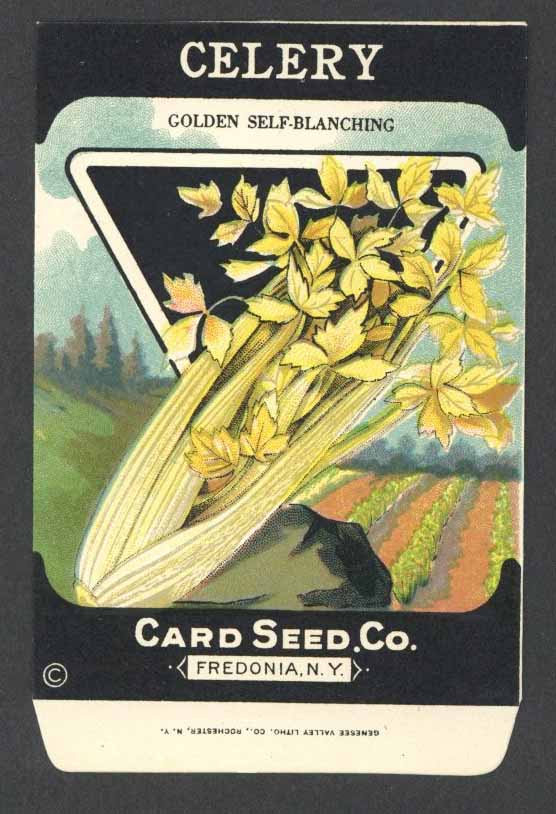 Celery Antique Card Seed Co. Packet, Golden