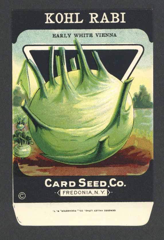 Kohl Rabi Antique Card Seed Co. Packet, White Vienna