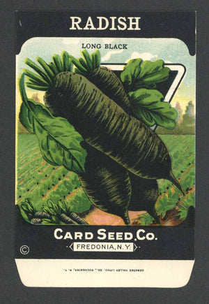 Radish Antique Card Seed Co. Packet, Long Black