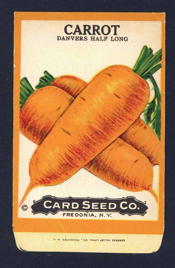 Carrot Antique Card Seed Co. Packet, Danvers Half Long