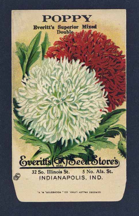poppy flower seed packets Poppy Antique Everitt's Seed Packet