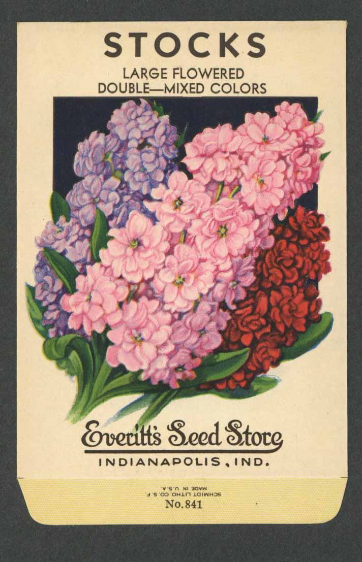 large flower seed packs Stocks Vintage Everitt's Seed Packet, Large Flowered – thelabelman