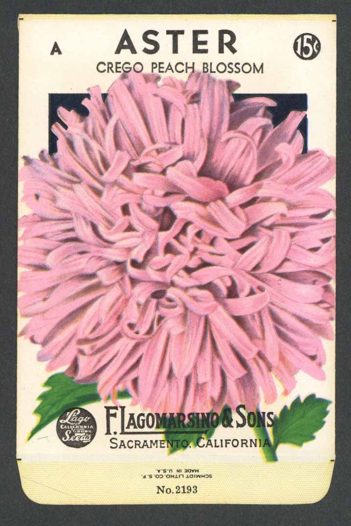 Aster Vintage Lagomarsino Seed Packet, Peach Blossom