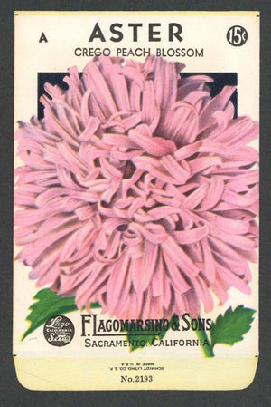 Aster Vintage Lagomarsino Seed Packet, Peach Blossom
