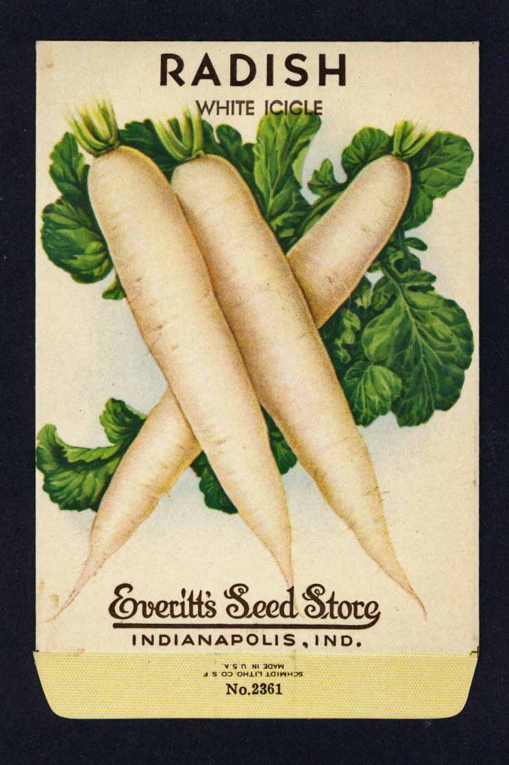 Radish Vintage Everitt's Seed Packet, White Icicle
