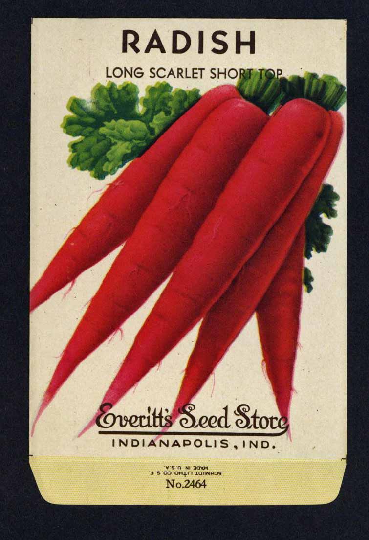 Radish Vintage Everitt's Seed Packet, Long Scarlet – thelabelman