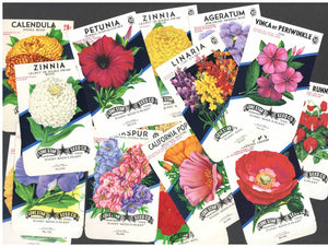 Vintage Seed Packets 1940-1980
